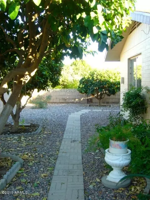 4528 Edgewood Ave, Mesa, AZ 85206 photo 20