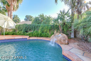 517 E Merrill Ave, Gilbert, AZ 85234 photo 40