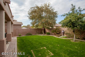 2668 E Ficus Way, Gilbert, AZ 85298 photo 38