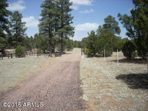 3249 Bigler Rd, Overgaard, AZ 85933 photo 43