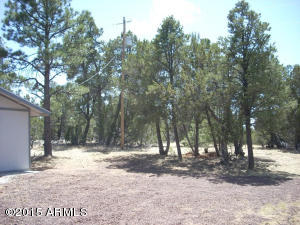 3249 Bigler Rd, Overgaard, AZ 85933 photo 38