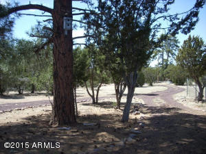 3249 Bigler Rd, Overgaard, AZ 85933 photo 39