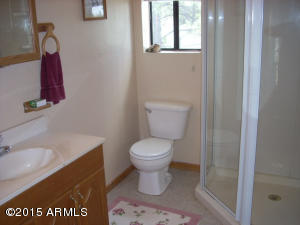 3249 Bigler Rd, Overgaard, AZ 85933 photo 19
