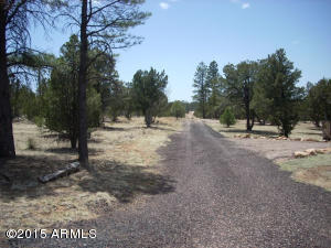 3249 Bigler Rd, Overgaard, AZ 85933 photo 44