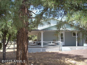 3249 Bigler Rd, Overgaard, AZ 85933 photo 45