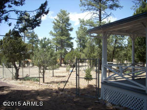3249 Bigler Rd, Overgaard, AZ 85933 photo 40