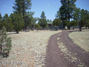 3249 Bigler Rd, Overgaard, AZ 85933 photo 42