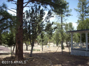3249 Bigler Rd, Overgaard, AZ 85933 photo 11