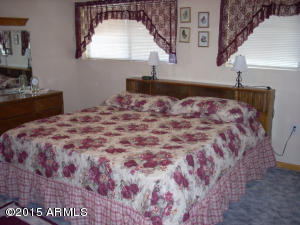 3249 Bigler Rd, Overgaard, AZ 85933 photo 23