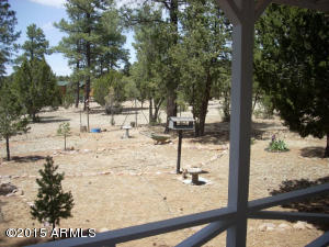 3249 Bigler Rd, Overgaard, AZ 85933 photo 12