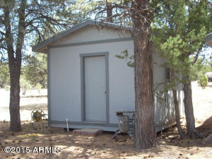 3249 Bigler Rd, Overgaard, AZ 85933 photo 47
