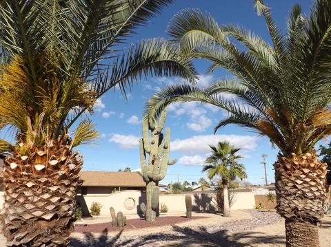 3046 E Bloomfield Rd, Phoenix, AZ 85032 photo 10