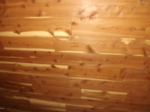 3046 E Bloomfield Rd, Phoenix, AZ 85032 photo 63