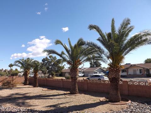 3046 E Bloomfield Rd, Phoenix, AZ 85032 photo 13