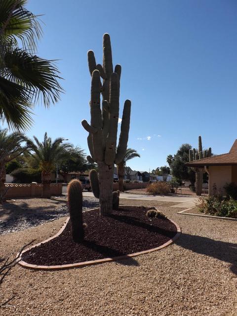 3046 E Bloomfield Rd, Phoenix, AZ 85032 photo 14