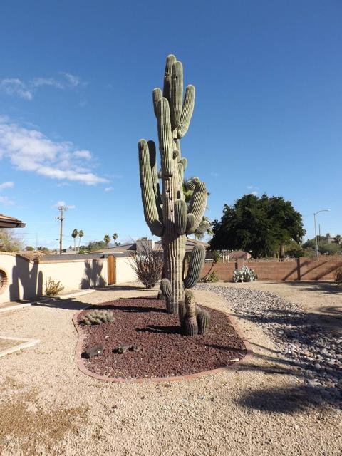 3046 E Bloomfield Rd, Phoenix, AZ 85032 photo 12