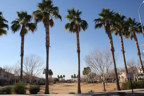 4030 W Carter Rd, Phoenix, AZ 85041 photo 31