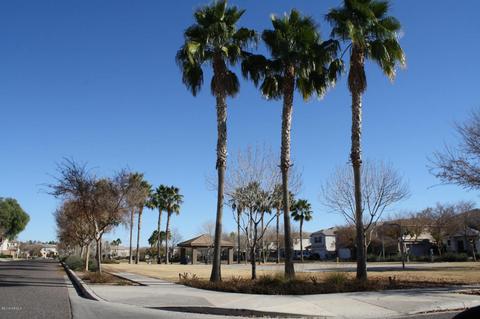 4030 W Carter Rd, Phoenix, AZ 85041 photo 29