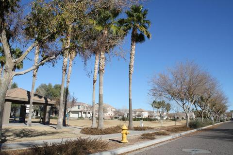 4030 W Carter Rd, Phoenix, AZ 85041 photo 30