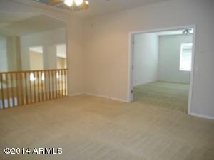 2923 E Hale St, Mesa, AZ 85213 photo 46