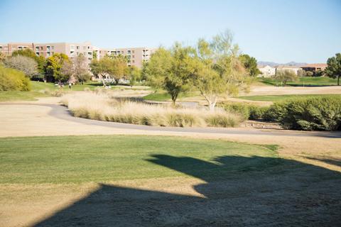 4202 E Paradise Dr, Phoenix, AZ 85028 photo 18