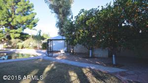 2328 E Jensen St, Mesa, AZ 85213 photo 9
