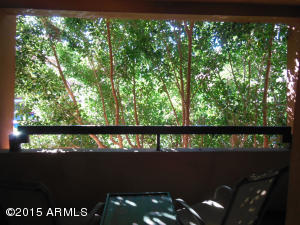4303 E Cactus Rd #219, Phoenix, AZ 85032 photo 2