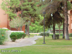 4303 E Cactus Rd #219, Phoenix, AZ 85032 photo 19
