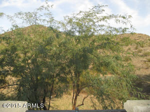 3236 E Chandler Blvd #2008, Phoenix, AZ 85048 photo 15