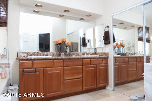 3349 E Rosemonte Dr, Phoenix, AZ 85050 photo 17