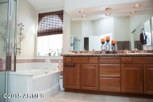 3349 E Rosemonte Dr, Phoenix, AZ 85050 photo 15