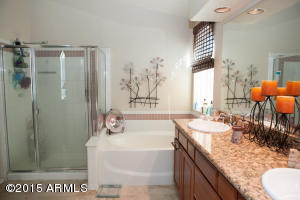 3349 E Rosemonte Dr, Phoenix, AZ 85050 photo 16
