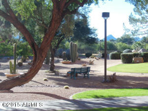 4303 E Cactus Rd #118, Phoenix, AZ 85032 photo 16