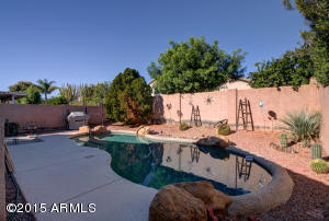 3322 E Hononegh Dr, Phoenix, AZ 85050 photo 29