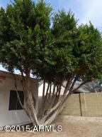 1325 E Piute Ave, Phoenix, AZ 85024 photo 24
