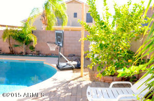 10513 E Forge Ave, Mesa, AZ 85208 photo 62