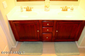 10513 E Forge Ave, Mesa, AZ 85208 photo 46