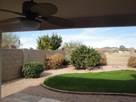 2052 E Angela Dr, Phoenix, AZ 85022 photo 7