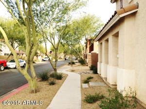 3807 E Flower Ct, Gilbert, AZ 85298 photo 4
