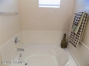 4047 E Milky Way, Gilbert, AZ 85295 photo 47