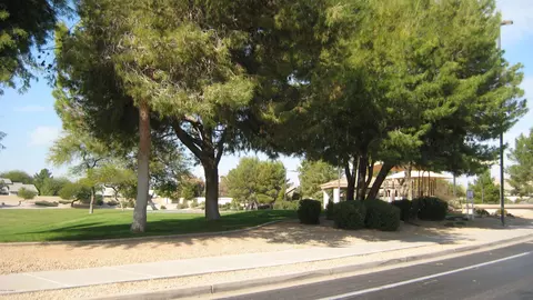 3951 E Olive Ave, Gilbert, AZ 85234 photo 31