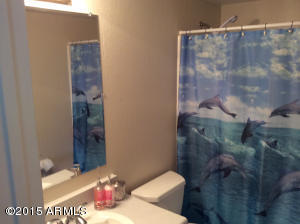 3045 E Libby St, Phoenix, AZ 85032 photo 18