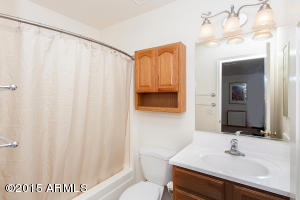 8522 E Desert Ln, Mesa, AZ 85209 photo 20