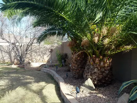 749 E Potter Dr, Phoenix, AZ 85024 photo 51