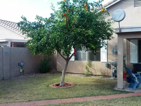 749 E Potter Dr, Phoenix, AZ 85024 photo 45