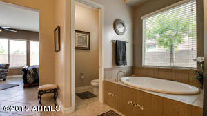 2936 E Athena Ave, Gilbert, AZ 85297 photo 18