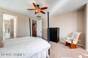 3731 E Matthew Dr, Phoenix, AZ 85050 photo 18