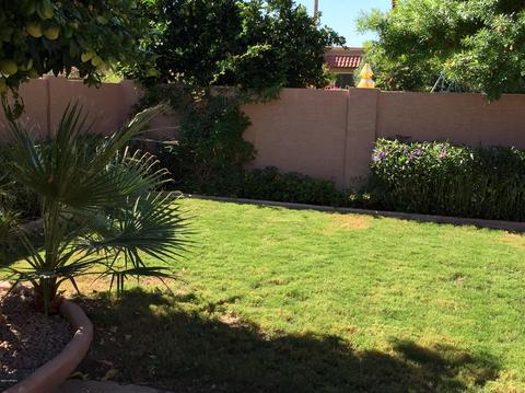 3827 E Cherokee St, Phoenix, AZ 85044 photo 13