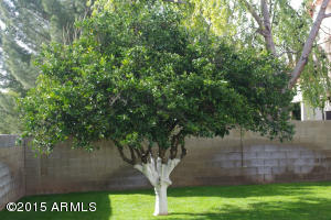 5357 W Wethersfield Dr, Glendale, AZ 85304 photo 8