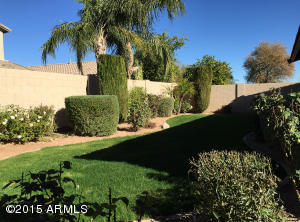 3770 E Oxford Ln, Gilbert, AZ 85295 photo 4